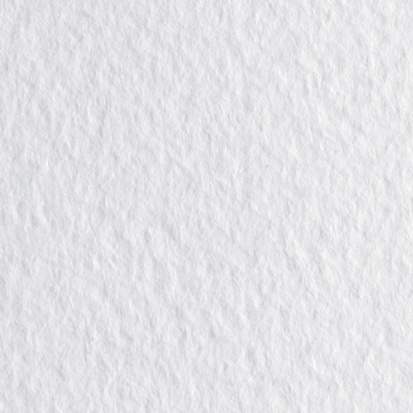 Бумага для пастели "Tiziano" 160г/м2 50x65см белый 1л